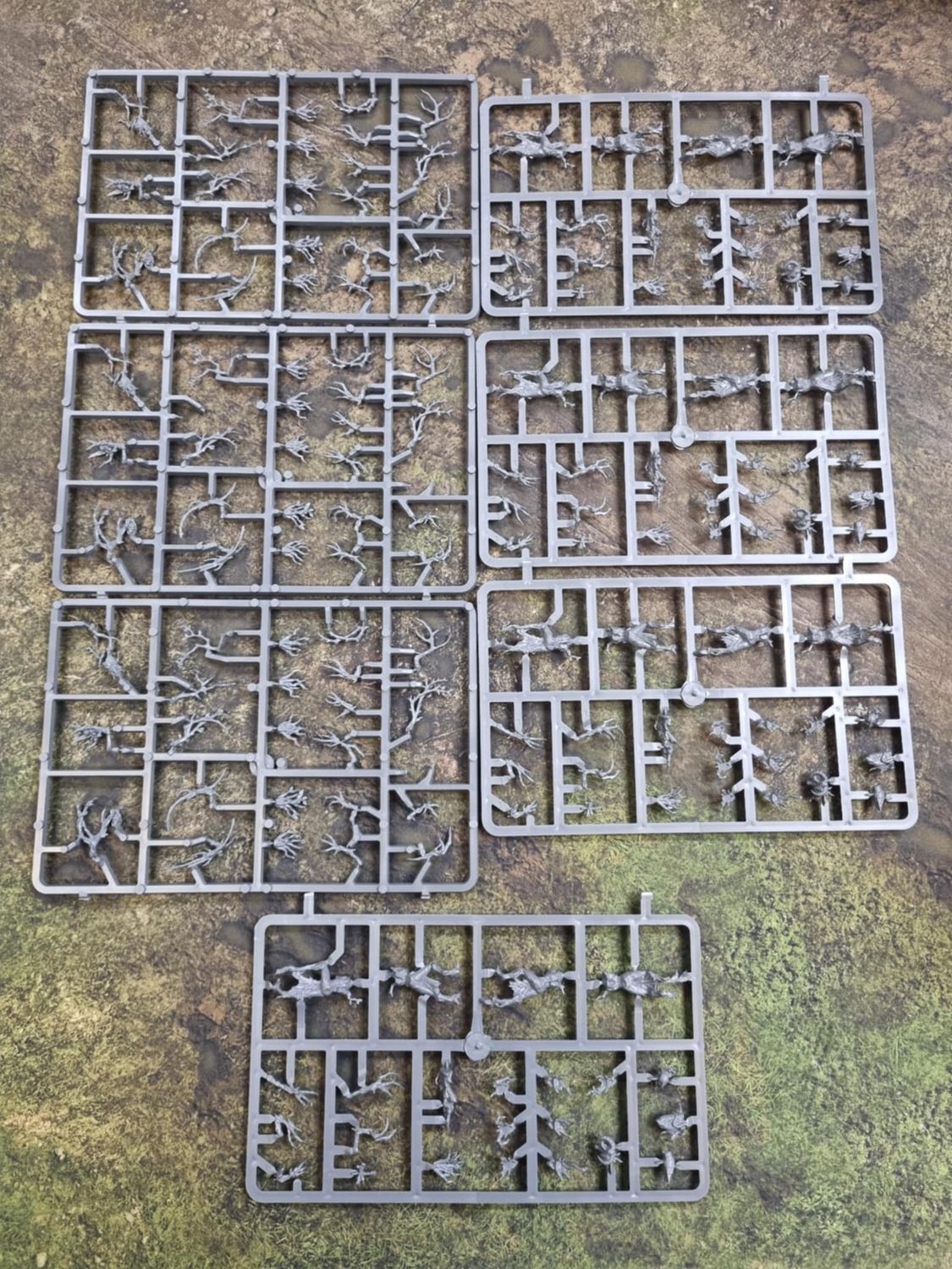Sylvaneth: Dryads (NOS)