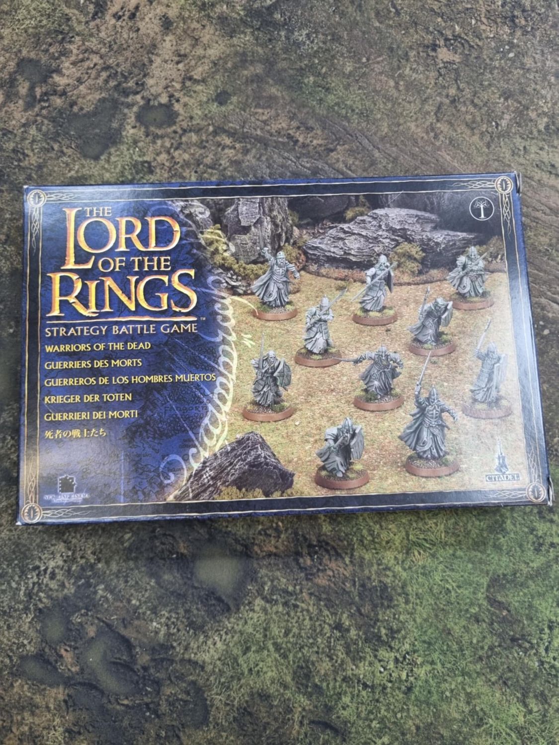 Lord of the Rings Strategy Battle Game: Warriors of the Dead