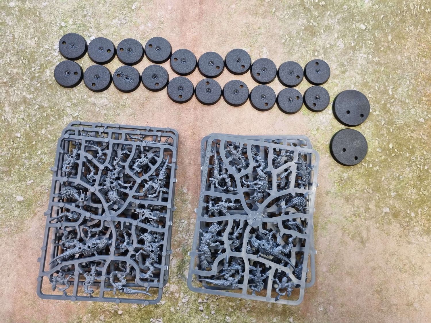 Tyranids: Termagants (x20 + Ripper Swarm)
