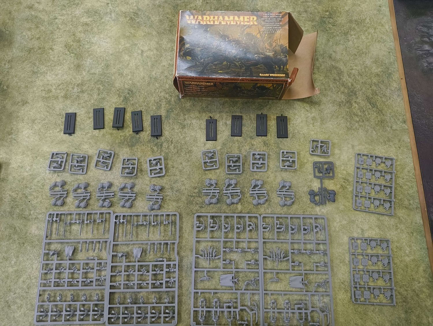 Warhammer Fantasy Battles: Goblin Wolf Riders (x10)