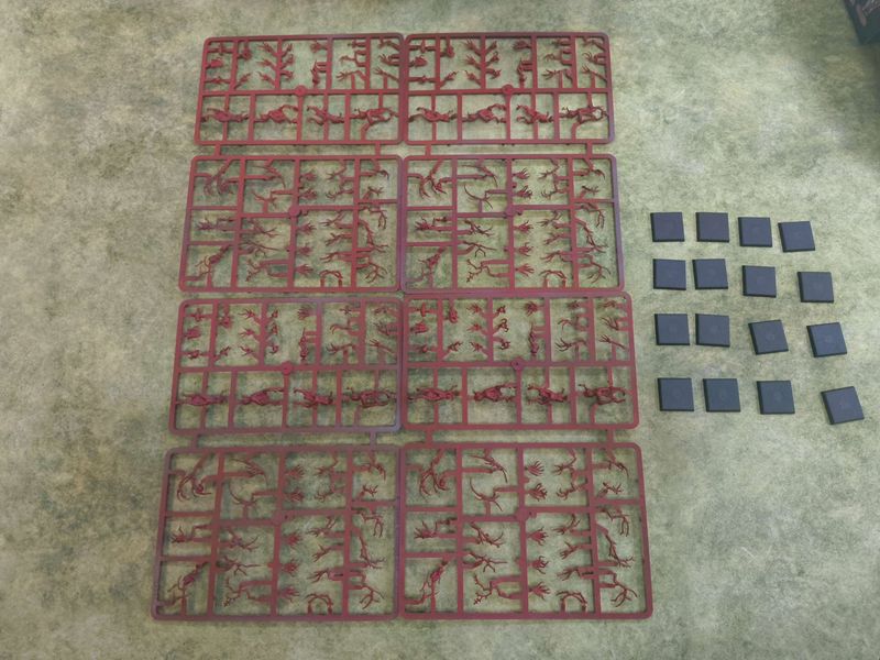 Wood Elf: Dryads (x16 - NOS)