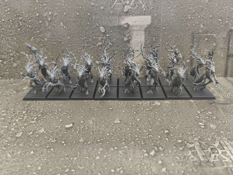 Wood Elf: Dryads (x16)