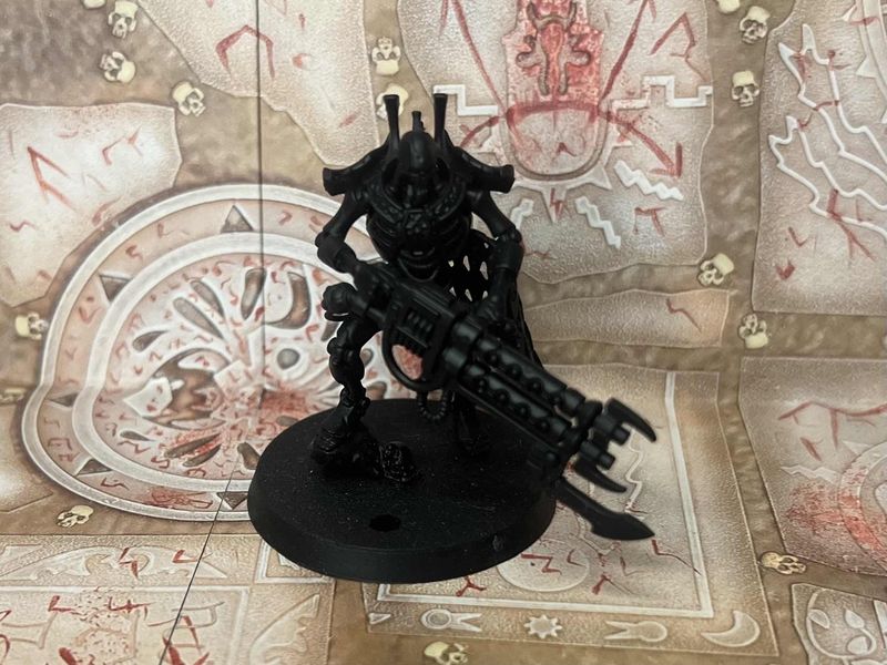 Necrons: Royal Warden