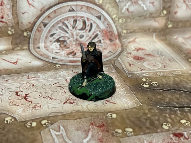 MESBG: Frodo (Fellowship)