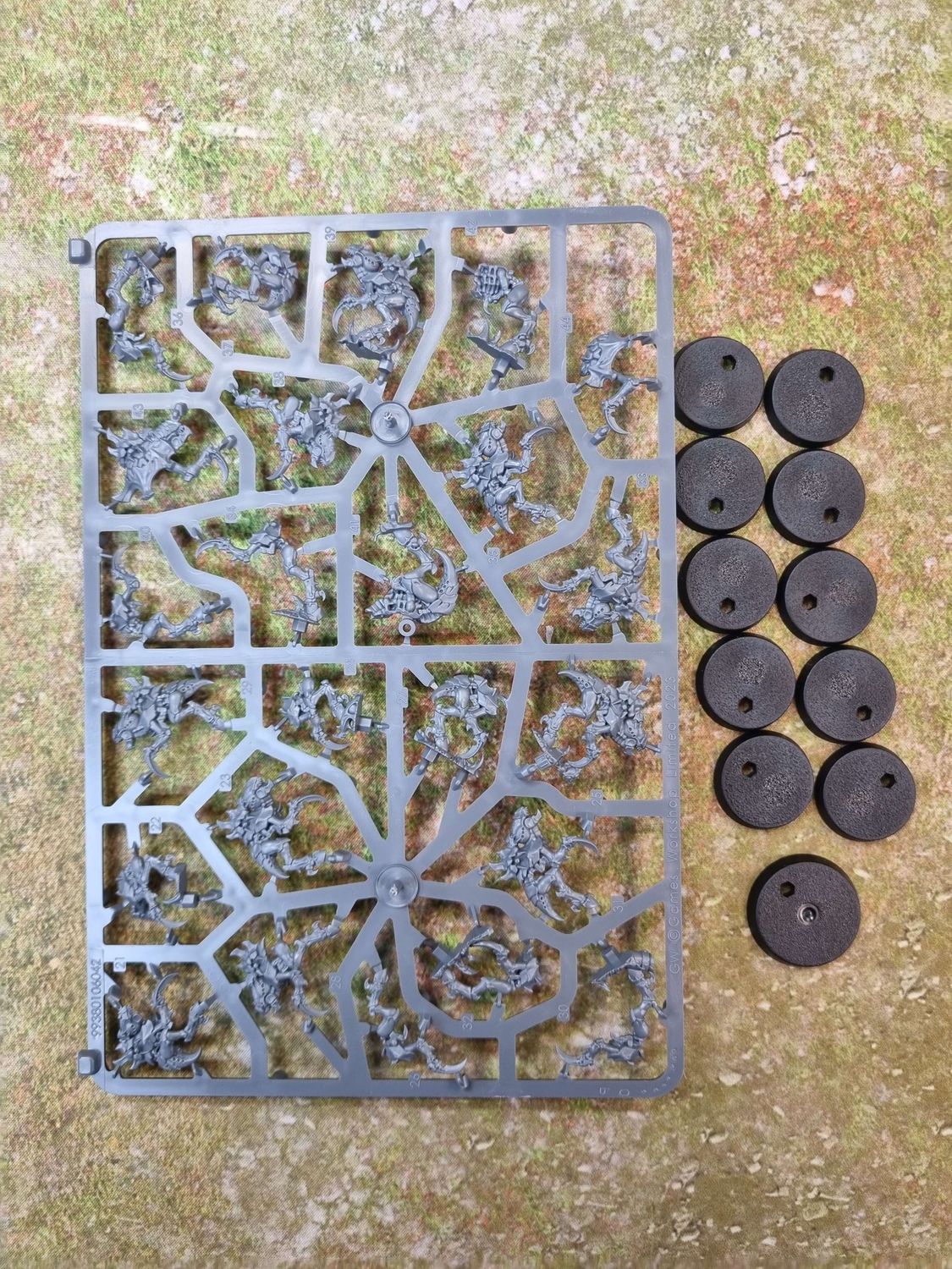 Tyranids - Neurogaunts, Name: Neurogaunts (on sprue)