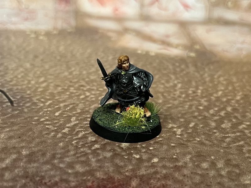 MESBG: Peregrin Took (Citadel Guard)