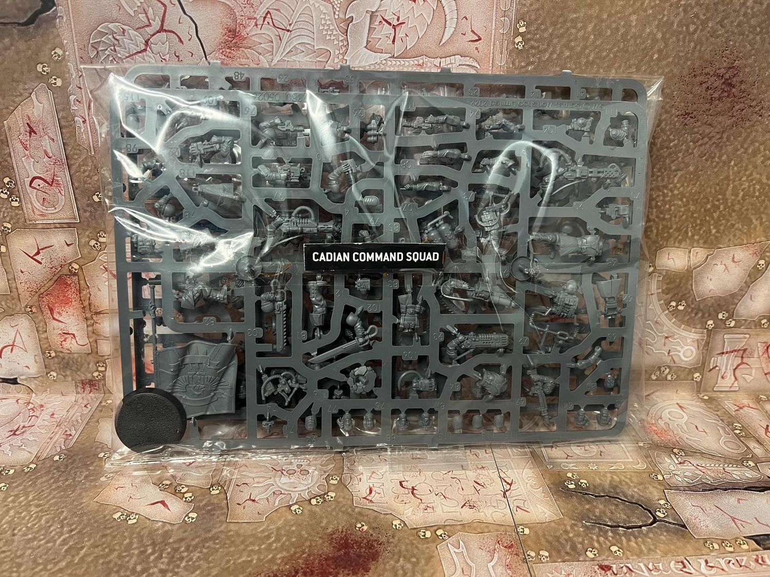 Astra Militarum: Cadian Shock Troops Command Squad, Name: On Sprue