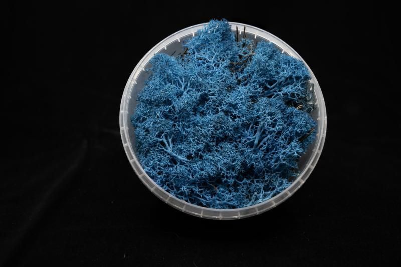 Coral Blue Hedge Basing Material
