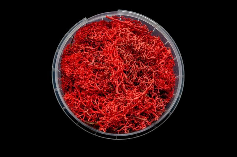 Bleeding Hedge Basing Material