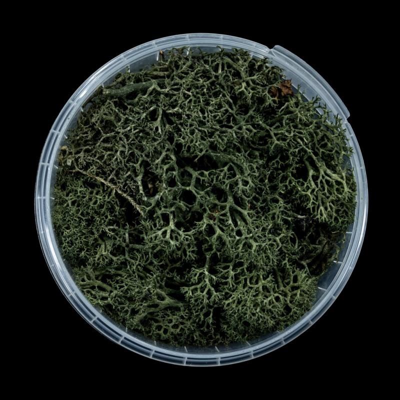 Darkwood Hedge Basing Material