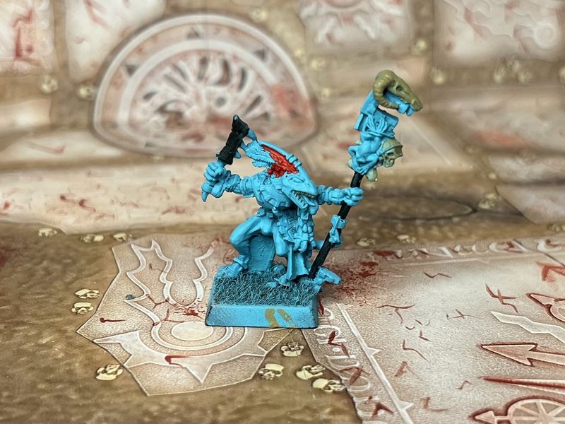 Lizardmen: Skink Priest