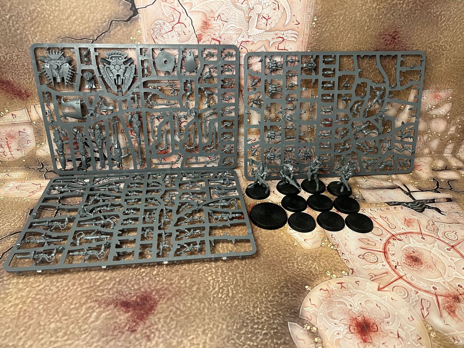 Aeldari: Guardian Squad W/ Weapon Platform