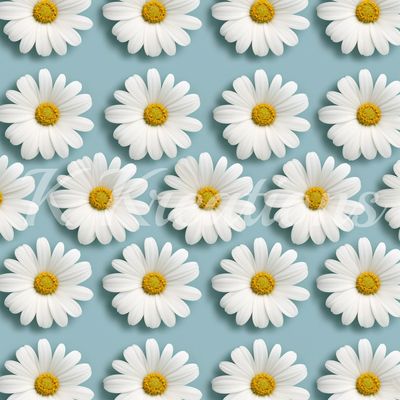 Blue Daisy