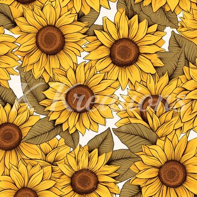 Sunflowers White Background