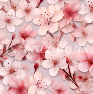 Pink Cherry Blossom