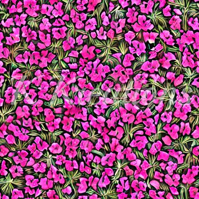 Tiny Pink Flowers