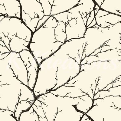 Branches