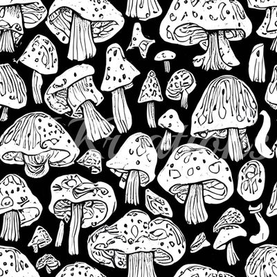 Black and White Mushrooms