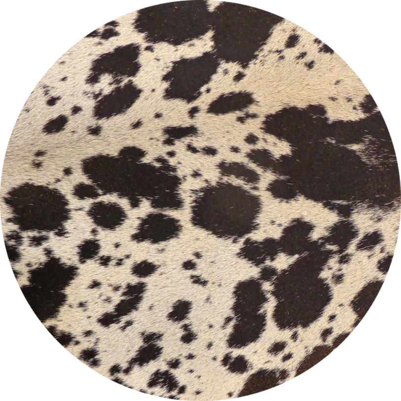 Cow Print Car Coaster