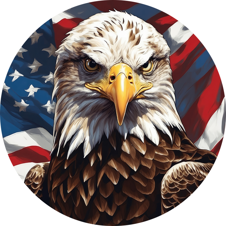 Bald Eagle Car Coaster