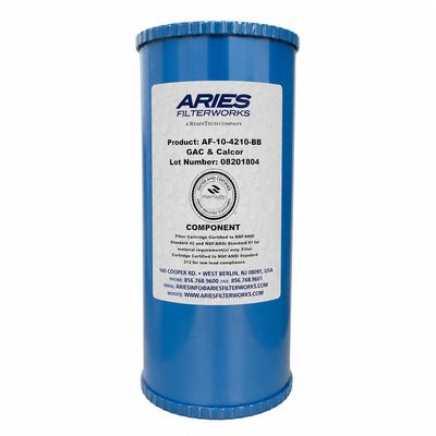 Re-Mineralizing 10" BB Filter
