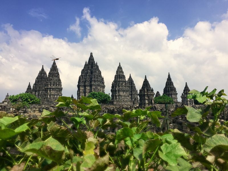 The picture showcases stunningly intricate stone carvings and towering structures with pointed tops. The temple is set against a backdrop of a partly cloudy sky, with green plants in the foreground partially obscuring the view. A dragonfly can be seen hovering near the plants, adding a touch of life to the serene scene.
