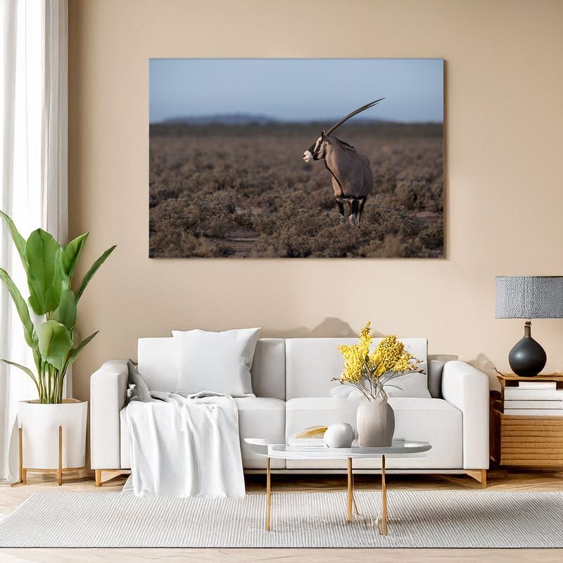 Southern Oryx – The Desert King