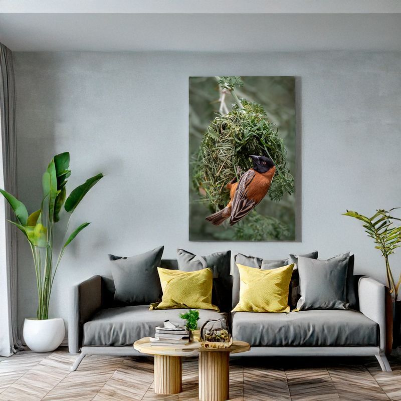 Canvas print of a Chestnut weaver at its nest, adding natural artistry and rich color to your living space