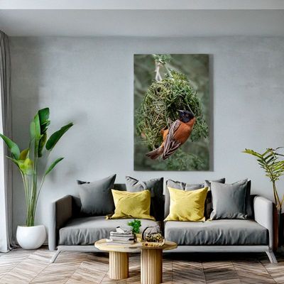 Canvas print of a Chestnut weaver at its nest, adding natural artistry and rich color to your living space