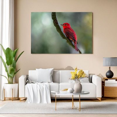 Canvas print of a bright red summer tanager on a branch, adding vivid natural beauty to your living room