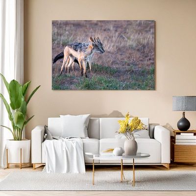 Black-backed Jackal – The Savanna Sentry Canvas print of two black-backed jackals on dry grassland, adding wild African vibes to your living room