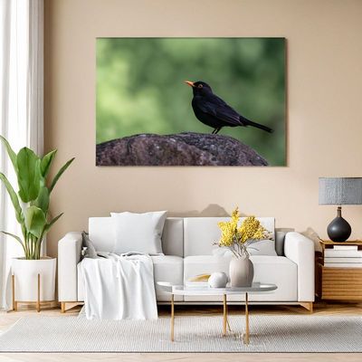 Canvas print of a blackbird perched on a rock with green blur background, adding a touch of nature to your living room