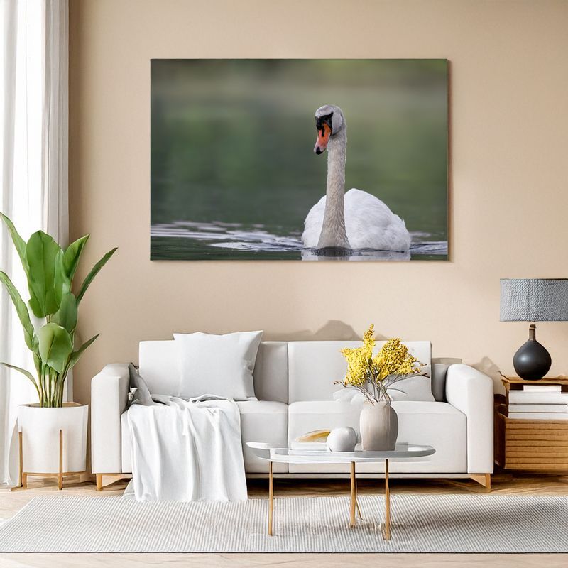 Canvas print of a mute swan gliding on smooth green water, perfect for serene living room wall art