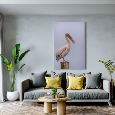 Great White Pelican – The Silent Watcher Canvas print of a great white pelican standing on a stump with grey background for stylish modern interiors