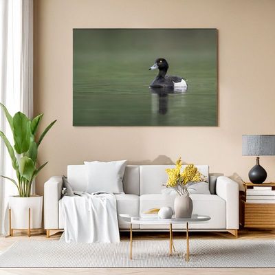 Modern living room with white sofa, canvas of single tufted duck on green water.