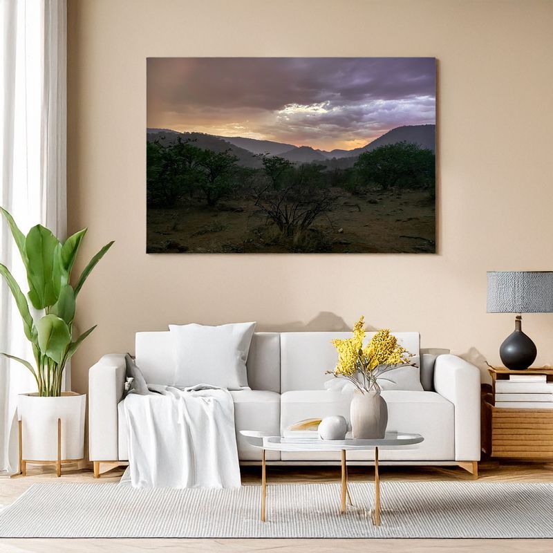 Modern living room with white sofa, large wall art of Namibia landscape, plants and decor.