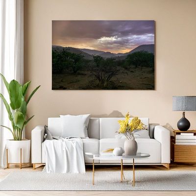 Modern living room with white sofa, large wall art of Namibia landscape, plants and decor.