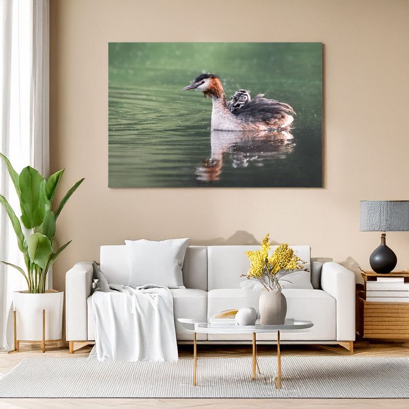 Modern living room with white sofa, canvas of grebe with chicks on calm water.
