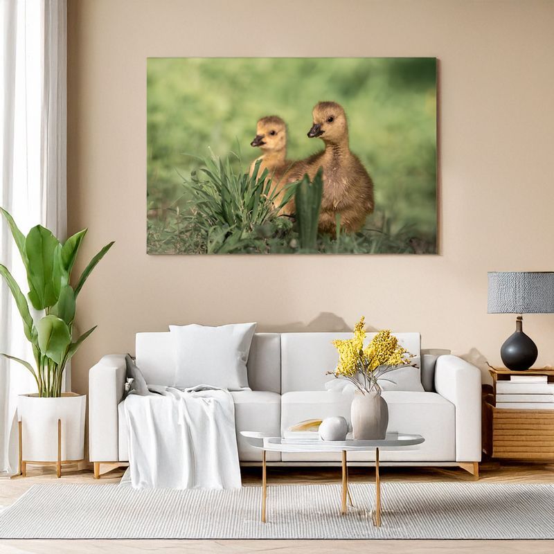 Bright living room with white sofa, canvas of two fluffy goslings in green grass.