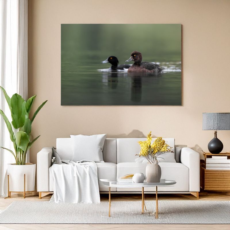 Modern living room with white sofa, canvas of two ducks swimming on green water.