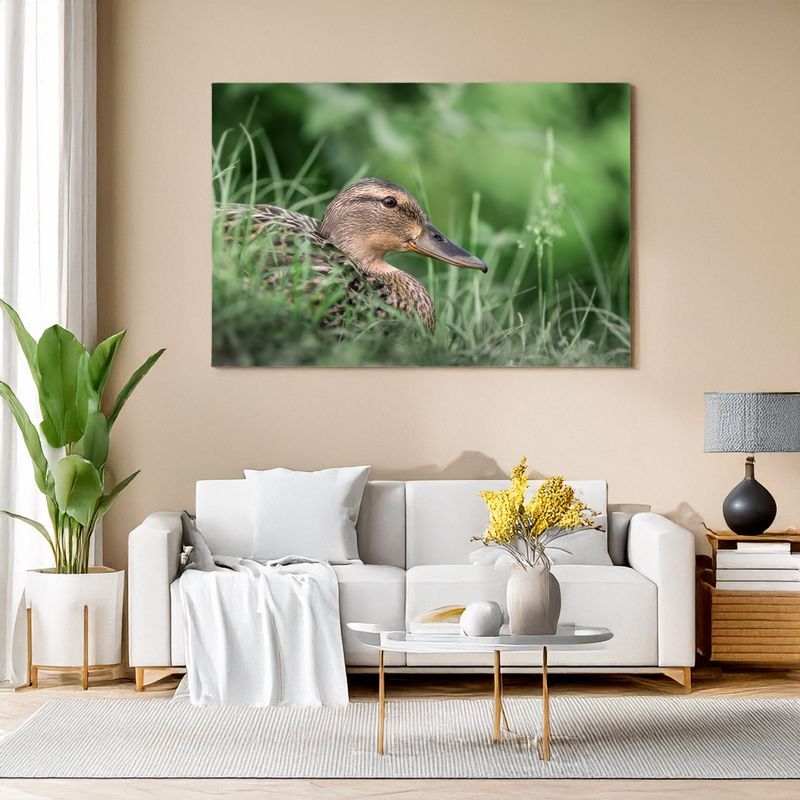 Modern living room with white sofa, canvas of female mallard resting in green grass.