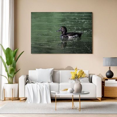 Modern living room with white sofa, canvas of a tufted duck swimming in light rain.