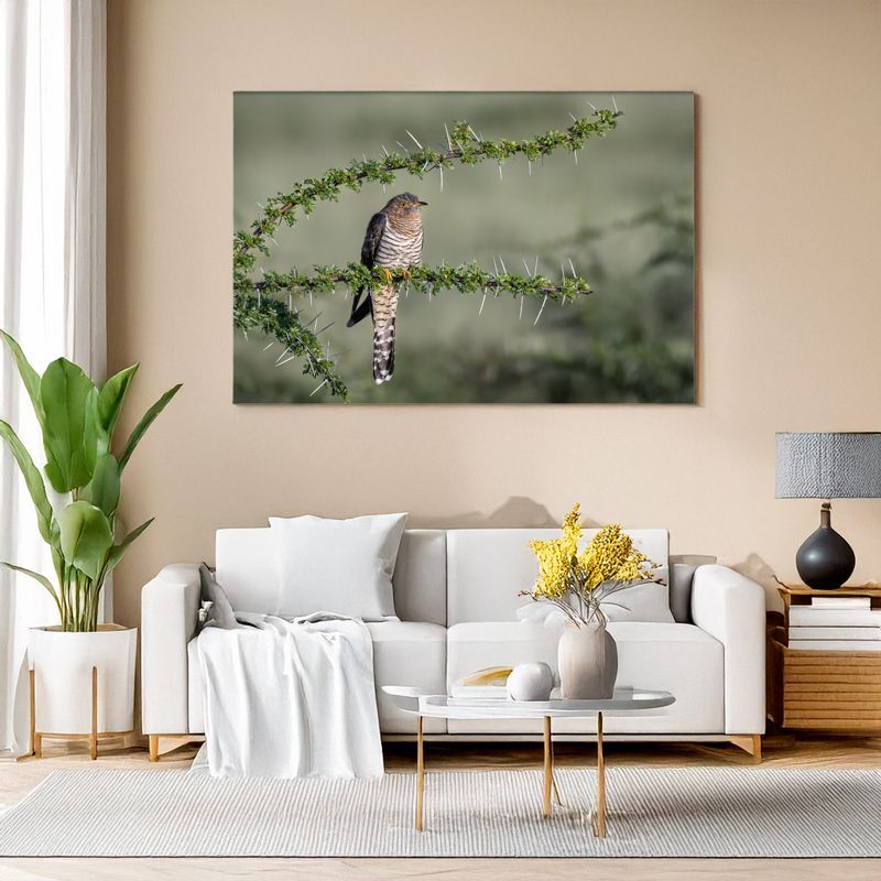 Modern living room with white sofa, canvas of a cuckoo perched on a thorny branch.

