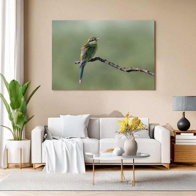 Swallow-tailed Bee-eater - Emerald Rest Modern living room with white sofa, canvas of a colorful bee-eater bird perched on a branch.