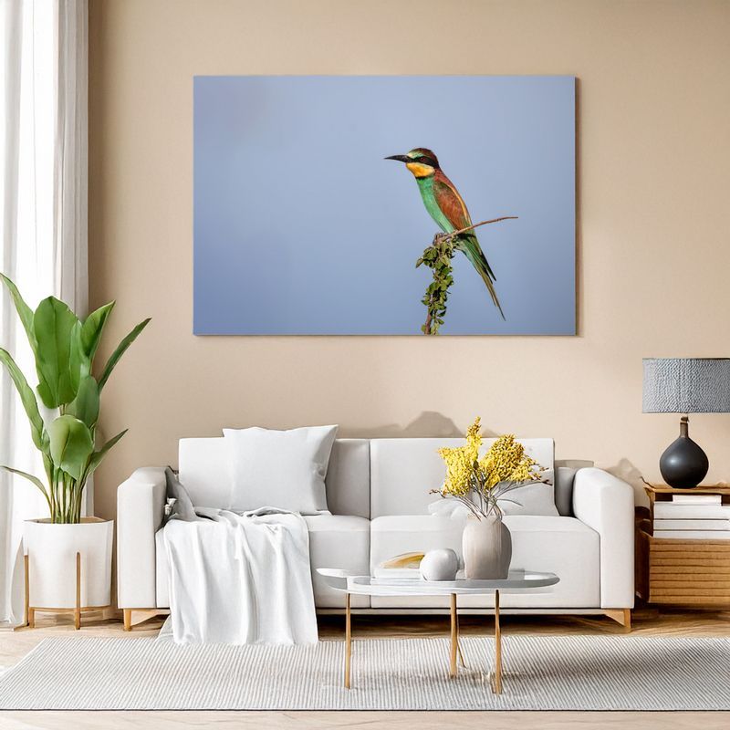 Modern living room with white sofa, canvas of a colorful bee-eater perched against a clear blue sky.