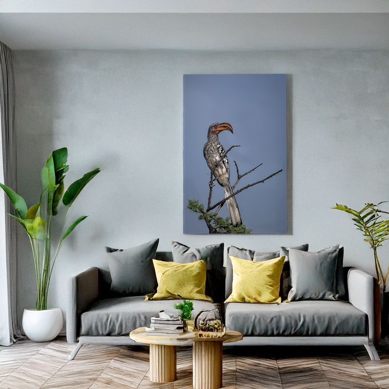 Modern living room with grey sofa, canvas of a Red-billed Hornbill perched on a branch against the sky.