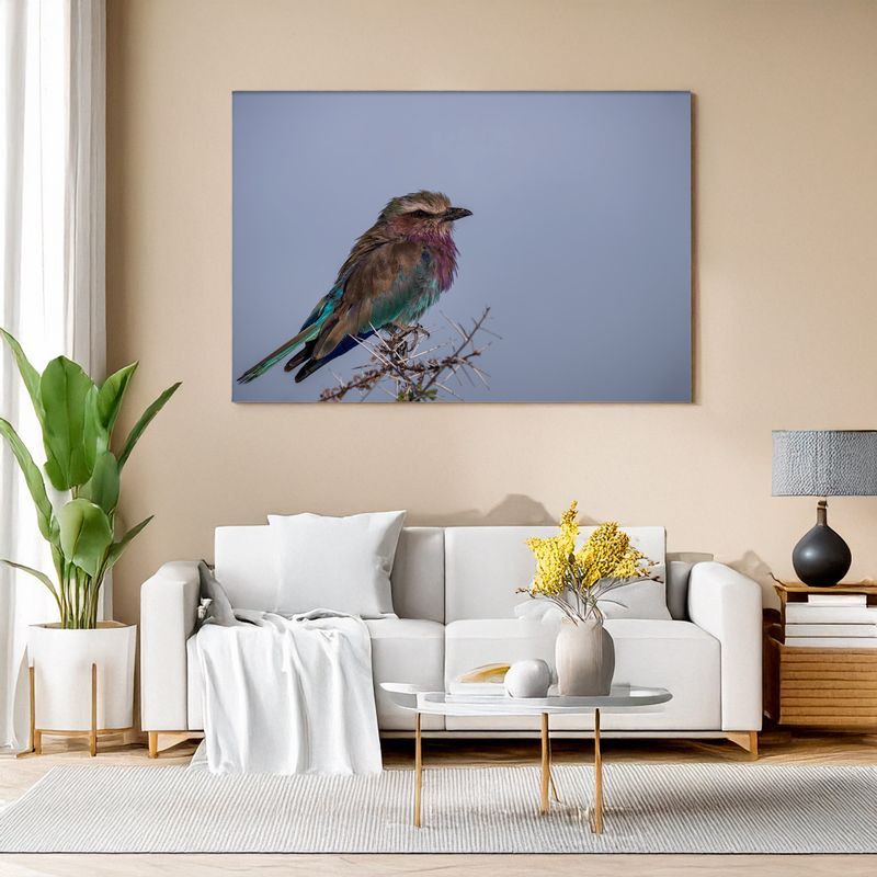 Modern living room with white sofa, canvas of a lilac-breasted roller perched on a branch against blue sky.