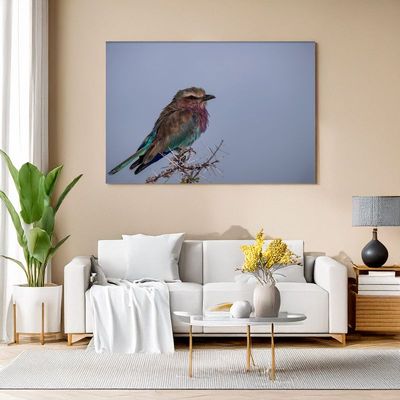 Modern living room with white sofa, canvas of a lilac-breasted roller perched on a branch against blue sky.