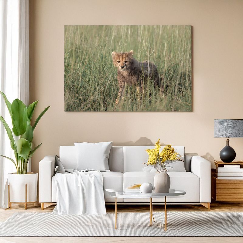 Modern living room with white sofa, canvas of a young cheetah standing in tall grass.