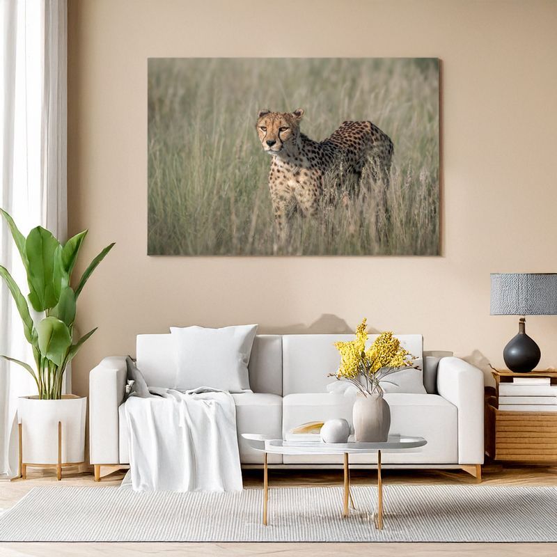 Modern living room with white sofa, canvas of a cheetah standing in tall savanna grass.